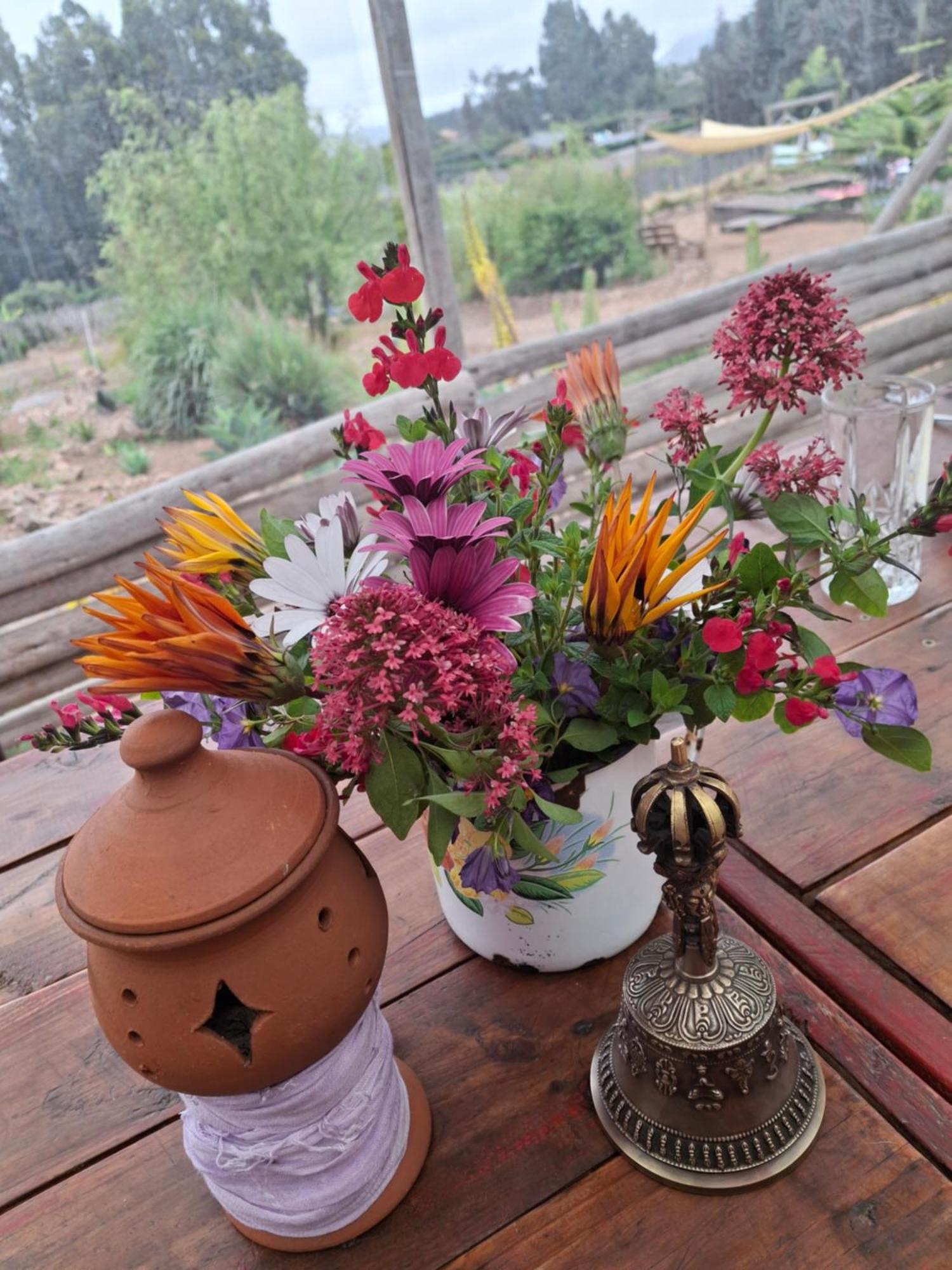 Apartment Colibri - Elqui