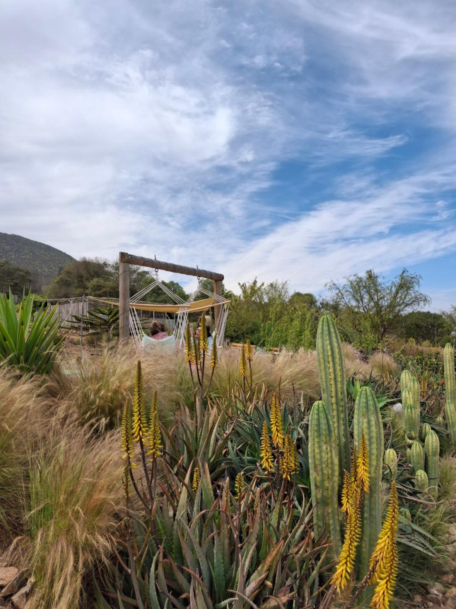 Colibri - Elqui Apartment