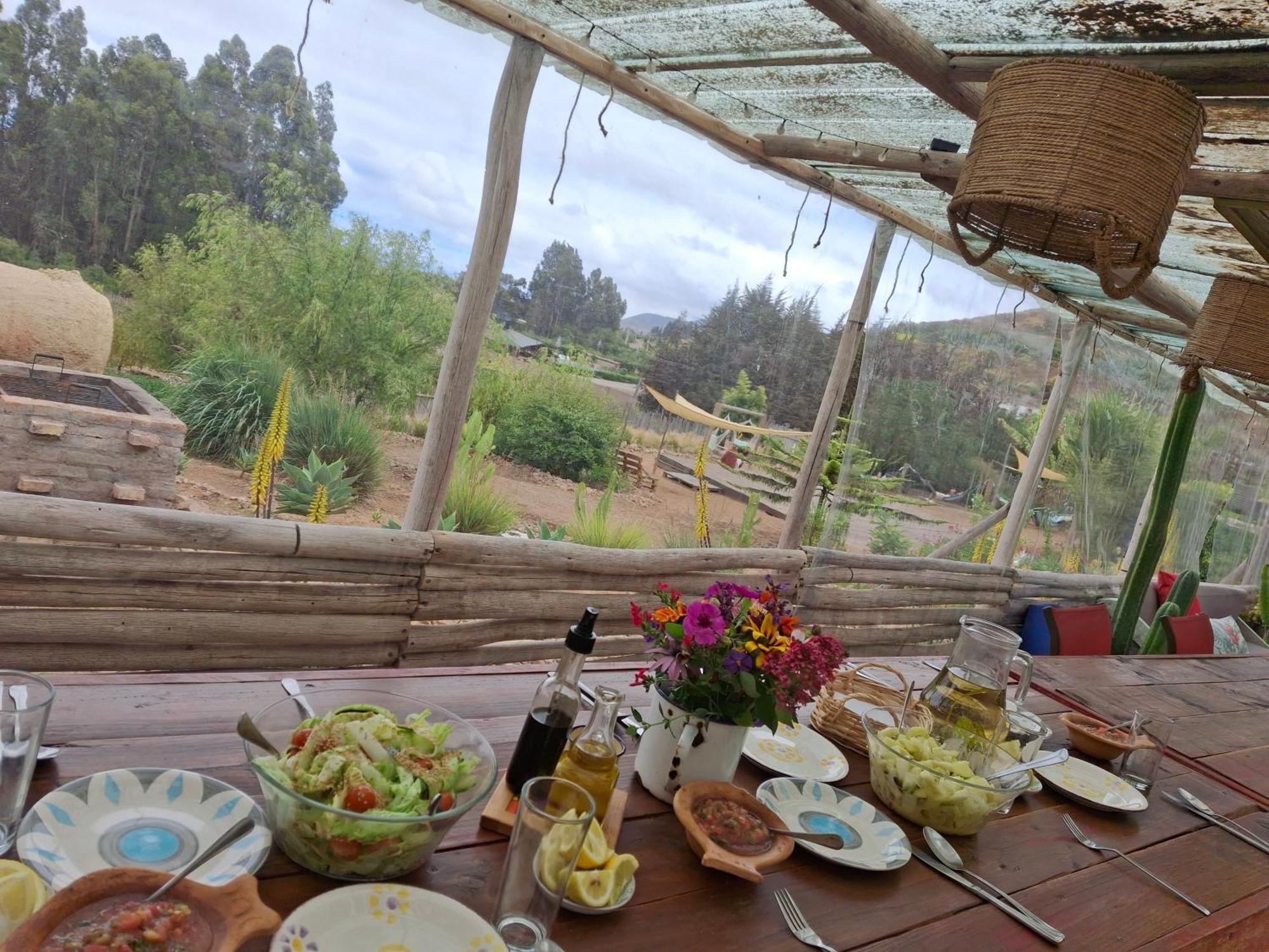 Colibri - Elqui *