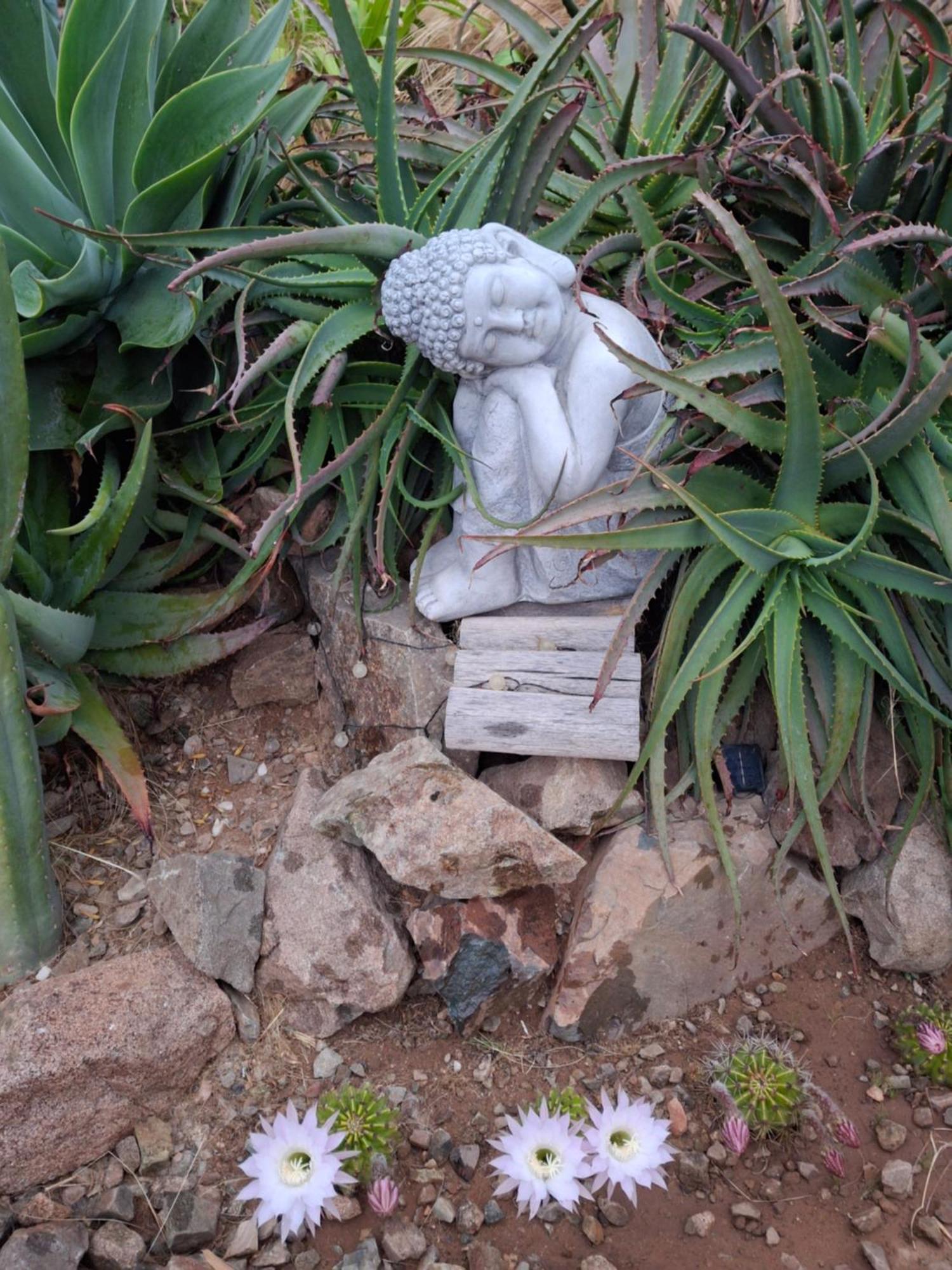 Apartment Colibri - Elqui