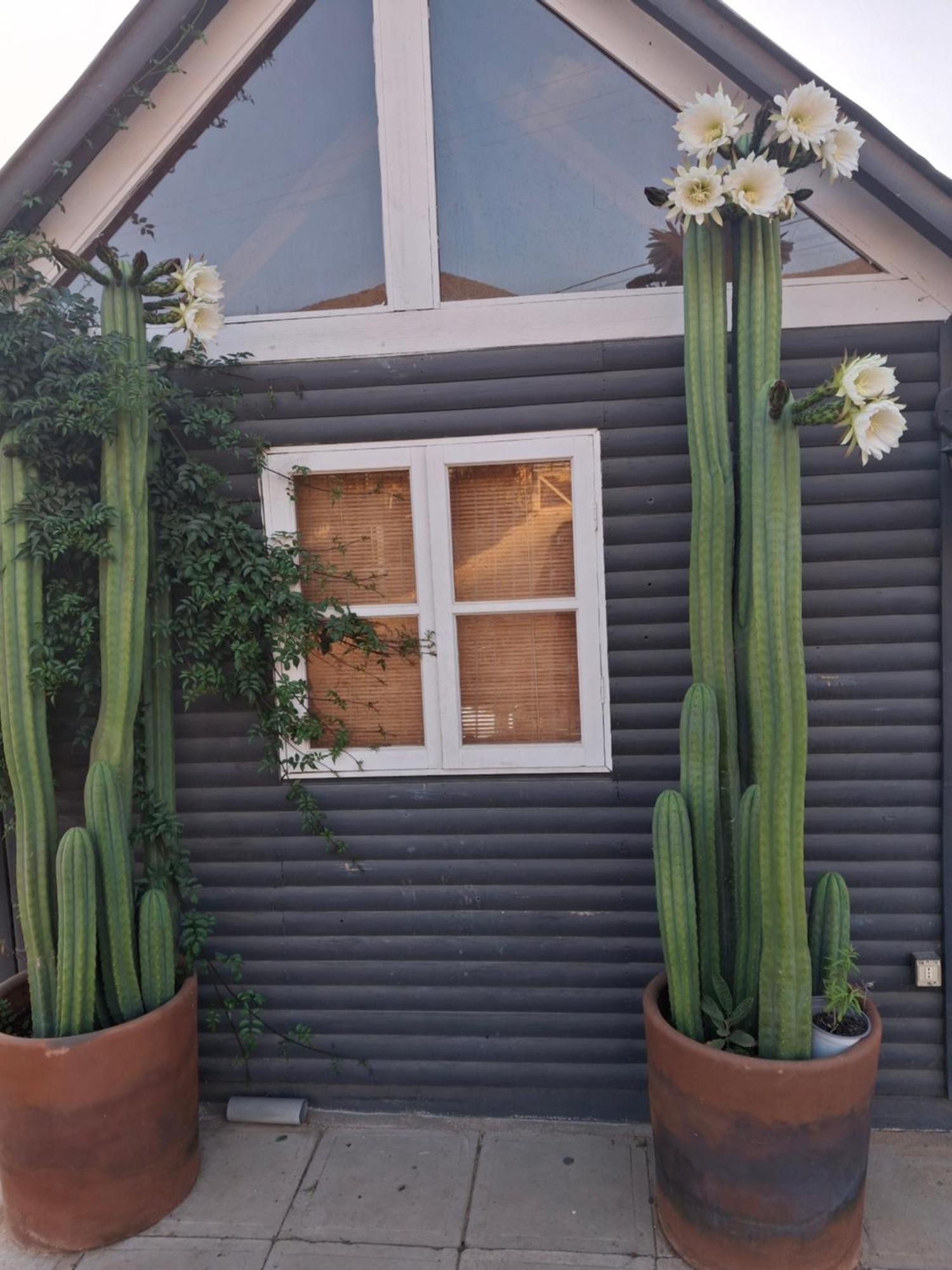 Colibri - Elqui Apartment *